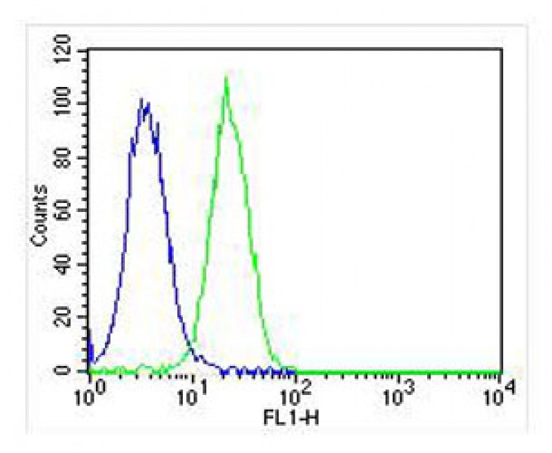 FC - DDIT3 Antibody (C-term A135) AP11955B