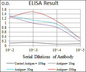 E - SPP1 Antibody AO1790a
