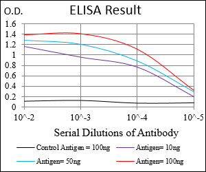 E - PLA2G12A Antibody AO1930a