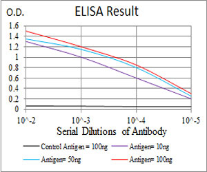 E - TIP60 Antibody AO2024a