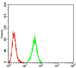 FC - PRDM5 Antibody AO2166a