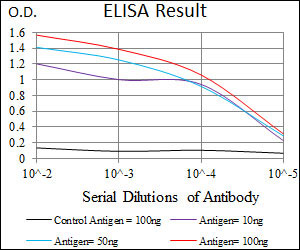 E - DCTN4 Antibody AO2291a