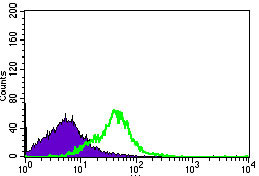 FC - DNAL4 Antibody AO2305a