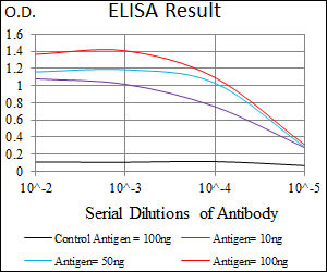E - DNAL4 Antibody AO2306a