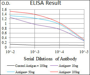 E - DNAL4 Antibody AO2308a