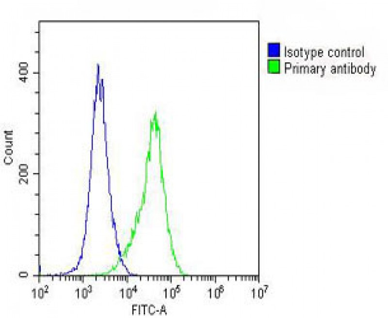 FC - ARV1 Antibody  (N-term) AP10655a
