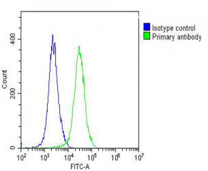 FC - ARV1 Antibody  (N-term) AP10655a