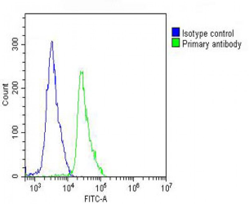 FC - VE Cadherin Antibody (CDH5) (N-term) AP2724a