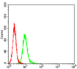 FC - Mouse Monoclonal Antibody to APBA2 AO2485a
