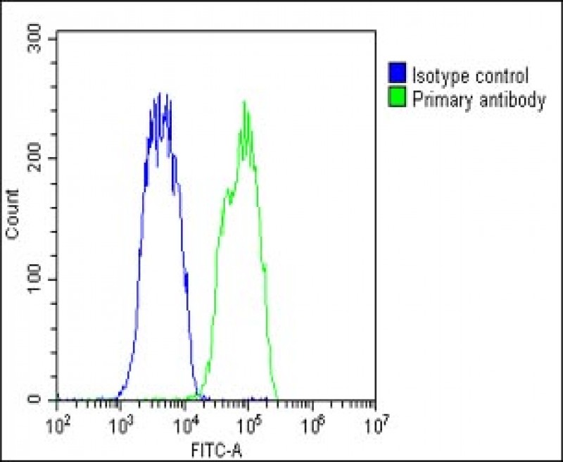 FC - KIAA1688 Antibody (C-term) AP5966b