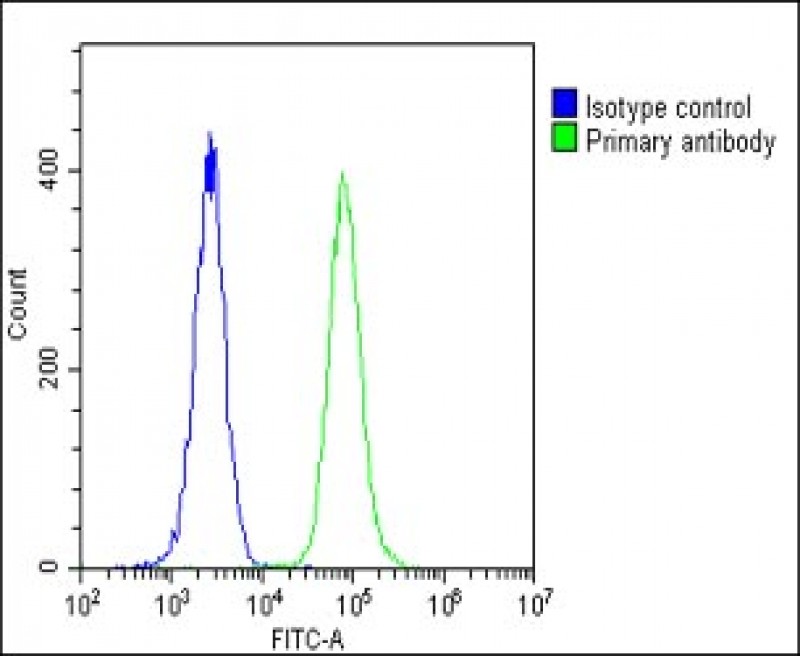 FC - RS18 Antibody (Center) AP6887c