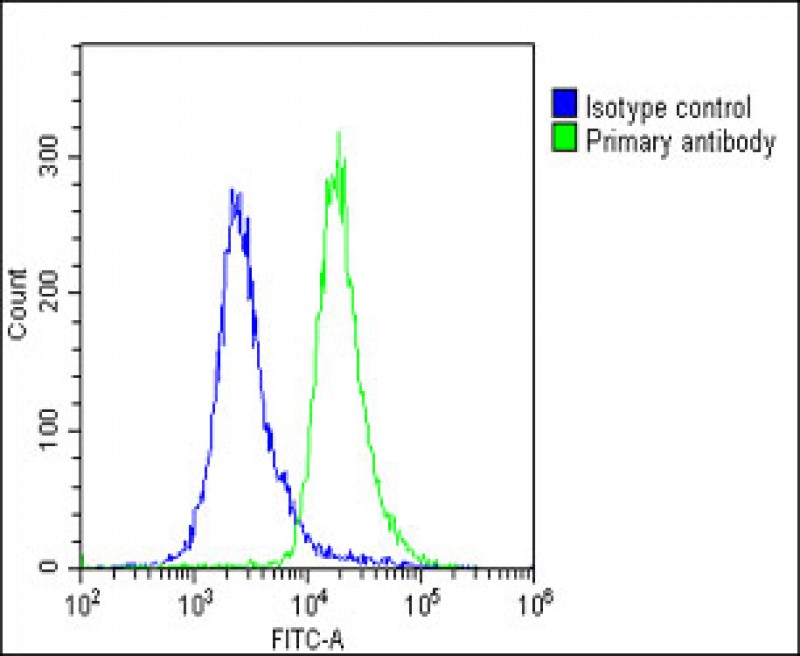 FC - ALKBH5 Antibody (Center) AP18410c