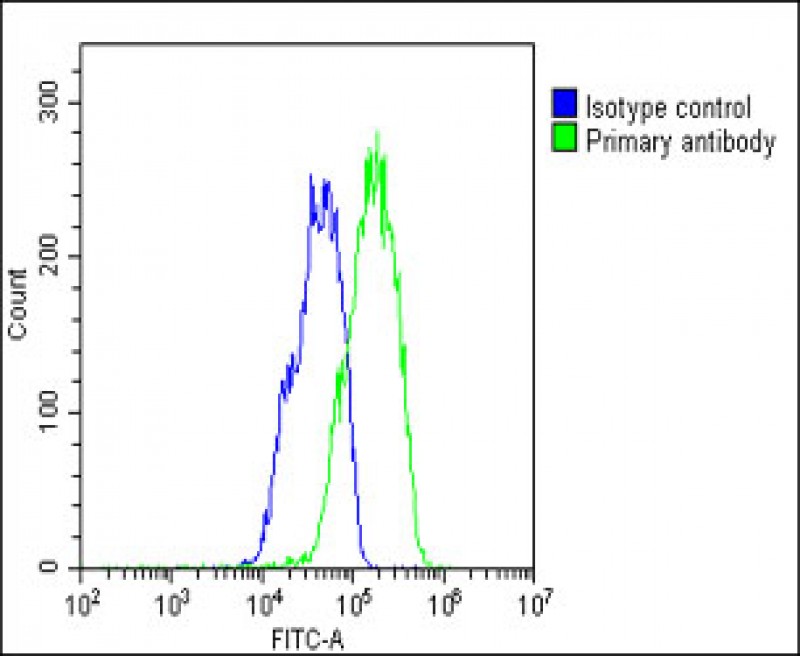 FC - ASPG Antibody (Center) AP13630c