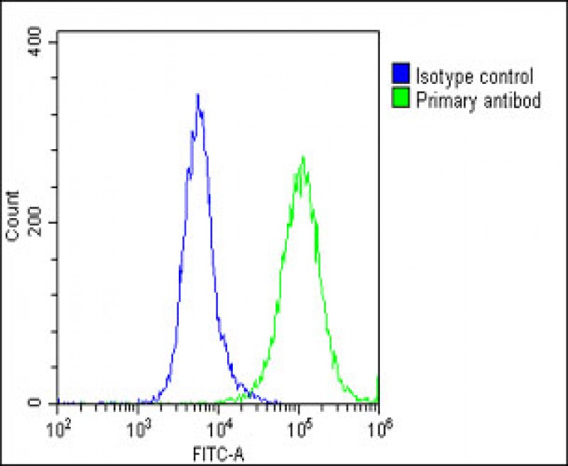 FC - SLC17A6 Antibody (Center) AP22344c