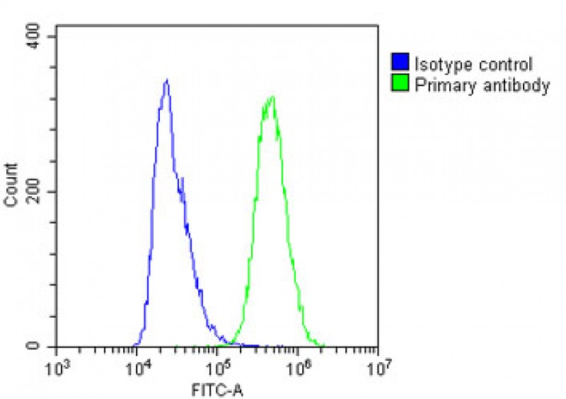 FC - IFITM5 Antibody (Center) AP11058c