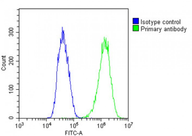 FC - DSPP Antibody (N-term) AP18118a