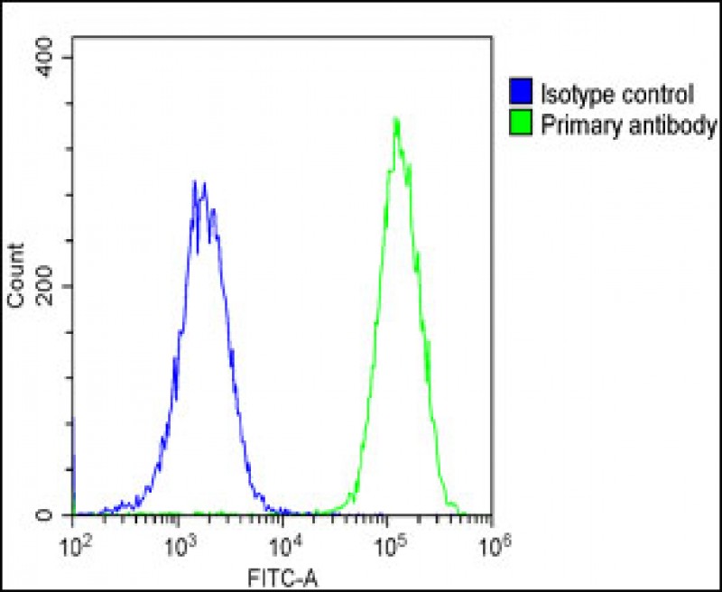 FC - NPPA Antibody (N-term) AP8534A