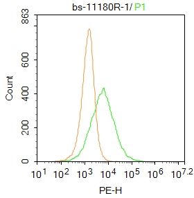 FC - ABCA7 Polyclonal Antibody AP54416