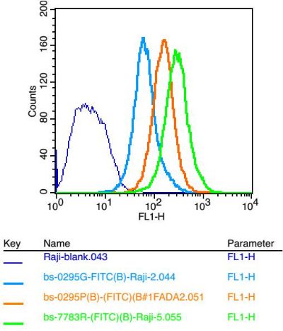 FC - CDC20B Polyclonal Antibody AP58752