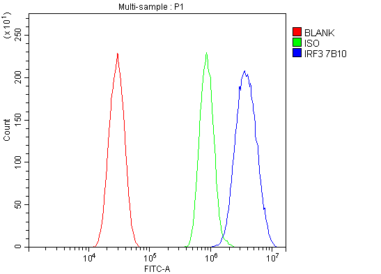 WB - Anti-IRF3 Antibody Picoband™ (monoclonal, 7B10) ABO15033