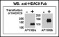 HDAC9 Antibody (N-term)