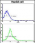 AMFR Antibody (C-term)