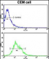 AC133 (CD133) Antibody (C-term)