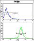 AXL Antibody (N-term)