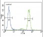 PKC alpha Antibody (C-term)