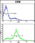 EphA4 Antibody (N-term)