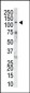 FGFR1 Antibody (N-term)