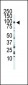 FGFR3 Antibody (C-term)