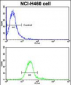 ROR1 Antibody (N-term)