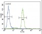 PI3KCA Antibody (C-term)