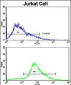 CDK2 Antibody (C-term)