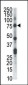 CLK2 Antibody (N-term)