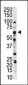 NLK Antibody (C-term)