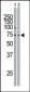 SYK Antibody (C-term)