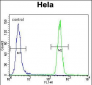 HSPA5 Antibody