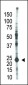 E2EPF Antibody (N-term)