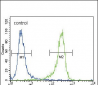 UCHL1 Antibody (N-term)