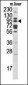 GCS1 Antibody (C-term)