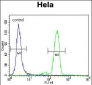 PML Sumoylation Site Antibody