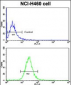 BACE1C Antibody (Center)