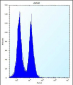 ICOS Antibody (C-term)