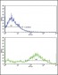 MVP Antibody (C-term)