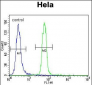 Presenilin 1 Antibody (C-term) [Knockout Validated]