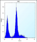 PDGFRA Antibody (C-term E1063)