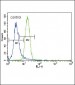 Parkin Antibody (C-term)