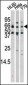 Phospho-RAD9(S272) Antibody